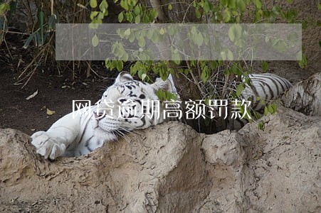 网贷逾期高额罚款 网贷逾期高额罚款