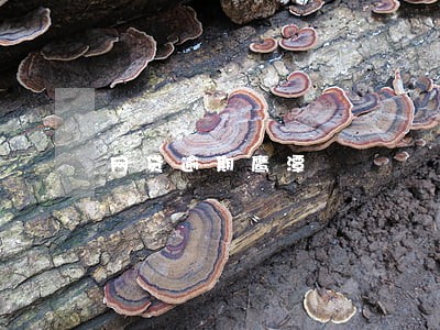 网贷逾期鹰潭 网贷逾期鹰潭