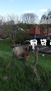 网贷逾期黑名单大数据查询 网贷逾期黑名单大数据查询