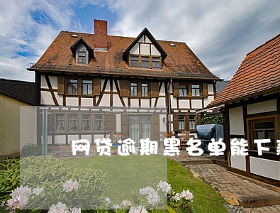 网贷逾期黑名单能下款的app 网贷逾期黑名单能下款的app