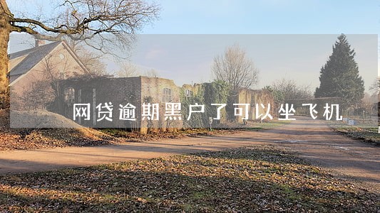 网贷逾期黑户了可以坐飞机 网贷逾期黑户了可以坐飞机