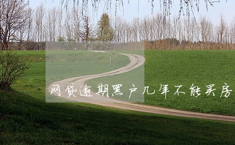网贷逾期黑户几年不能买房 网贷逾期黑户几年不能买房