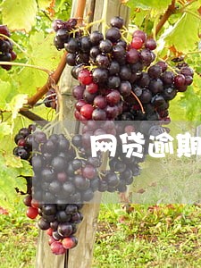 网贷逾期黑户怎么办