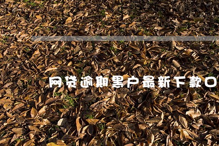 网贷逾期黑户最新下款口子 网贷逾期黑户最新下款口子
