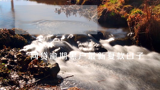 网贷逾期黑户最新夏款口子 网贷逾期黑户最新夏款口子