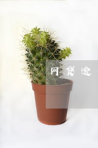 网贷逾期黑户还能贷网贷吗 网贷逾期黑户还能贷网贷吗