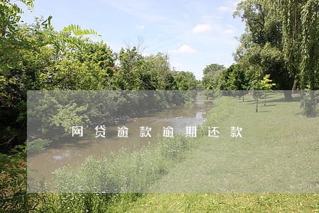 网贷逾款逾期还款 网贷逾款逾期还款