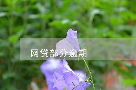 网贷部分逾期 网贷部分逾期