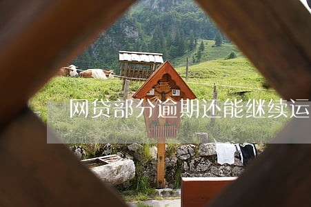 网贷部分逾期还能继续运作吗 网贷部分逾期还能继续运作吗