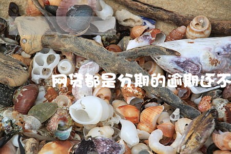 网贷都是分期的逾期还不上 网贷都是分期的逾期还不上