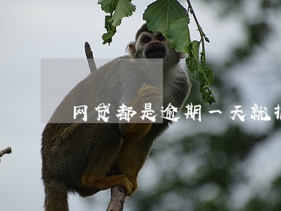 网贷都是逾期一天就报通讯吗 网贷都是逾期一天就报通讯吗