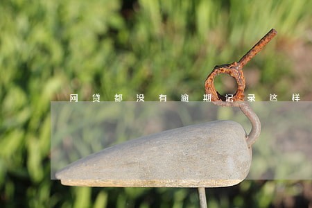网贷都没有逾期记录这样好吗 网贷都没有逾期记录这样好吗