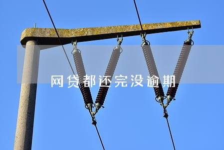 网贷都还完没逾期 网贷都还完没逾期