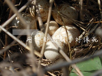 网贷都逾期了好像死 网贷都逾期了好像死