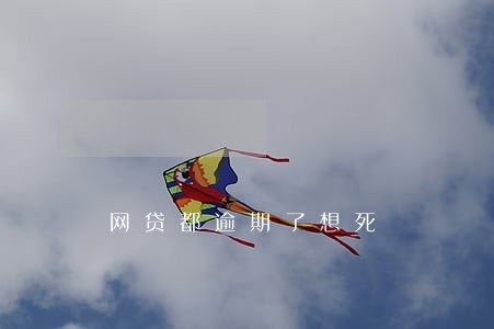 网贷都逾期了想死 网贷都逾期了想死