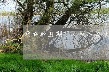 网贷都逾期了没钱还好烦躁 网贷都逾期了没钱还好烦躁