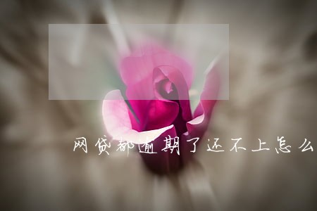 网贷都逾期了还不上怎么办 网贷都逾期了还不上怎么办