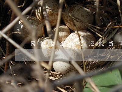 网贷都逾期了还能贷吗
