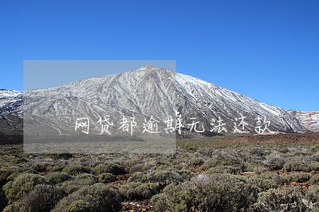 网贷都逾期无法还款 网贷都逾期无法还款