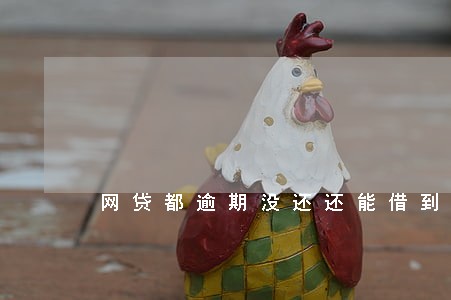 网贷都逾期没还还能借到钱吗 网贷都逾期没还还能借到钱吗