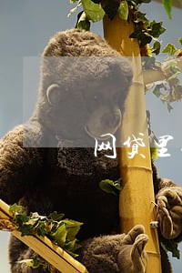 网贷里什么叫逾期本金 网贷里什么叫逾期本金
