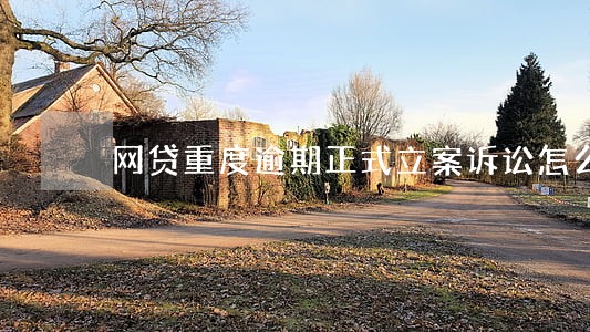 网贷重度逾期正式立案诉讼怎么办 网贷重度逾期正式立案诉讼怎么办