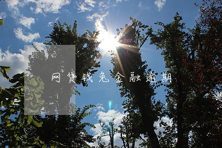 网贷钱兔金融逾期 网贷钱兔金融逾期