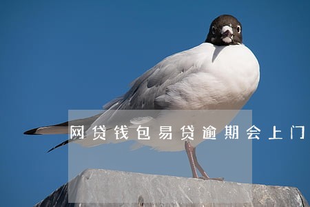 网贷钱包易贷逾期会上门吗 网贷钱包易贷逾期会上门吗