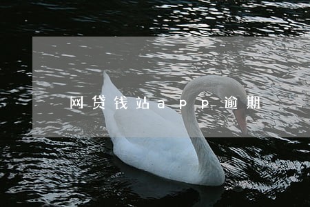 网贷钱站app逾期 网贷钱站app逾期