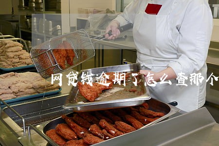 网贷钱逾期了怎么查那个网贷 网贷钱逾期了怎么查那个网贷