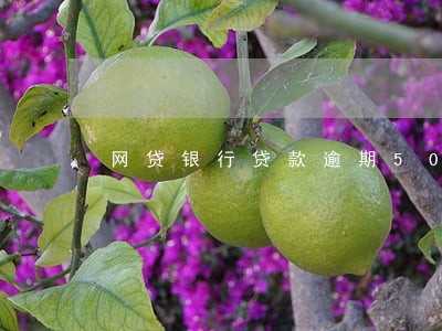 网贷银行贷款逾期50万 网贷银行贷款逾期50万