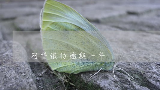 网贷银行逾期一年 网贷银行逾期一年