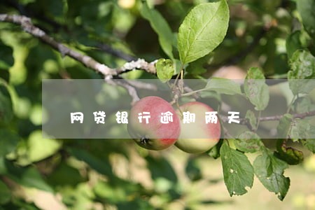 网贷银行逾期两天 网贷银行逾期两天