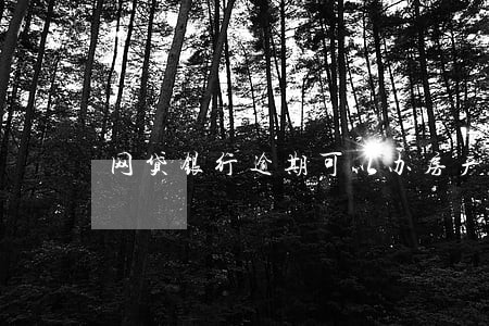 网贷银行逾期可以办房产证吗