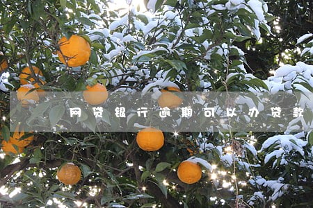 网贷银行逾期可以办贷款吗 网贷银行逾期可以办贷款吗