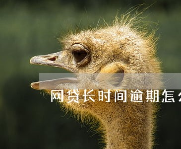 网贷长时间逾期怎么还本金 网贷长时间逾期怎么还本金