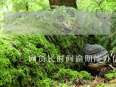 网贷长时间逾期能办信用卡吗 网贷长时间逾期能办信用卡吗