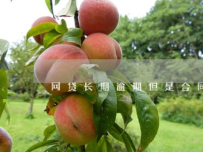 网贷长期逾期但是合同没到期 网贷长期逾期但是合同没到期