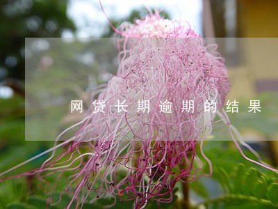 网贷长期逾期的结果 网贷长期逾期的结果