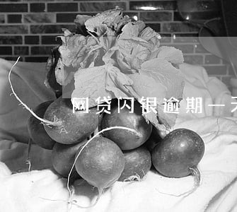 网贷闪银逾期一天