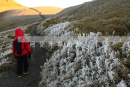 网贷降额逾期 网贷降额逾期