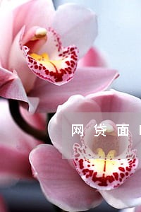 网贷面临大面积逾期怎么办 网贷面临大面积逾期怎么办