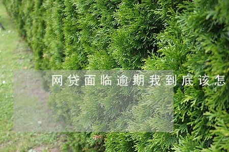 网贷面临逾期我到底该怎么办 网贷面临逾期我到底该怎么办