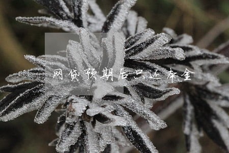 网贷预期后只还本金