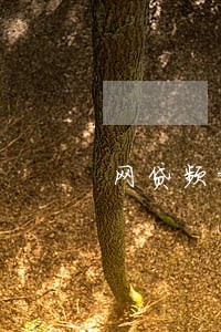 网贷频繁但没有逾期买房 网贷频繁但没有逾期买房