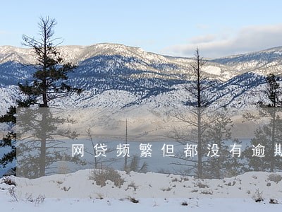 网贷频繁但都没有逾期 网贷频繁但都没有逾期