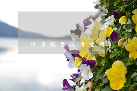 网贷频繁没有逾期 网贷频繁没有逾期