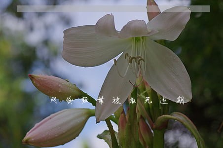 网贷频繁被拒无逾期 网贷频繁被拒无逾期