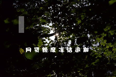 网贷额度冻结逾期 网贷额度冻结逾期