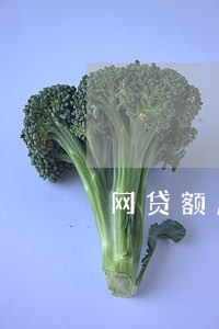 网贷额度循环借逾期怎么算 网贷额度循环借逾期怎么算